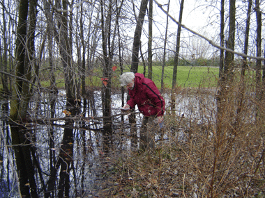 Photo shows David Fletcher testing the water in a stand of trees in a wetland area of the golf course.  Photo by P.W.
